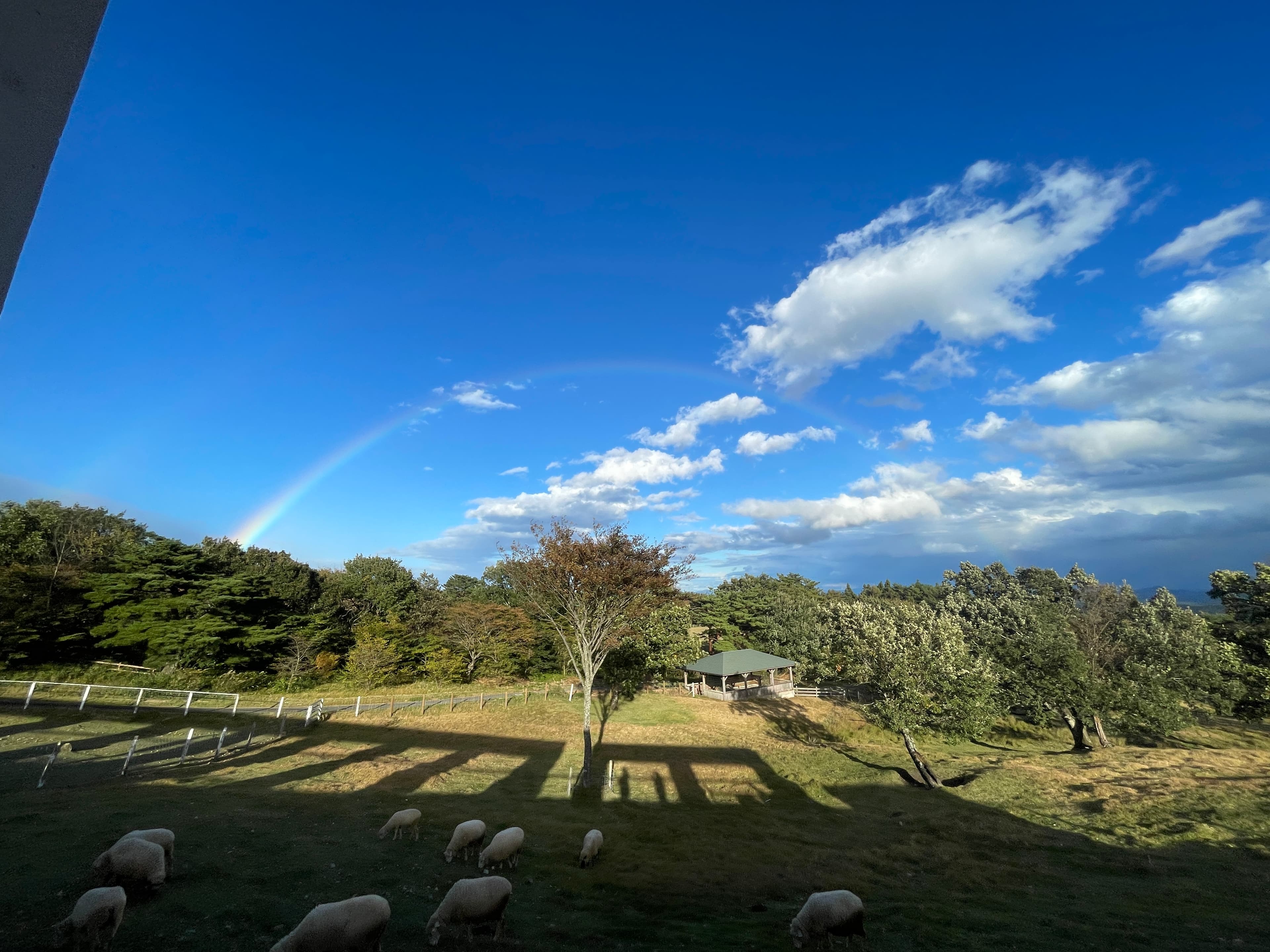Rainbow